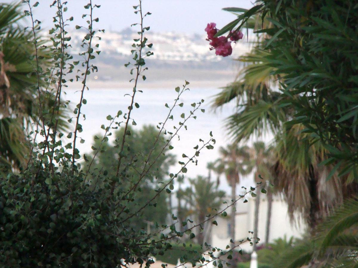 Villa 39 Armação de Pêra Buitenkant foto
